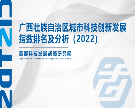 一洞双操逼逼视频【成果发布】广西壮族自治区城市科技创新发展指数排名及分析（2022）